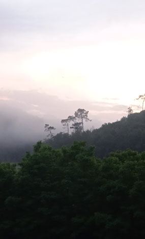 Vue de la terrasse du gîte